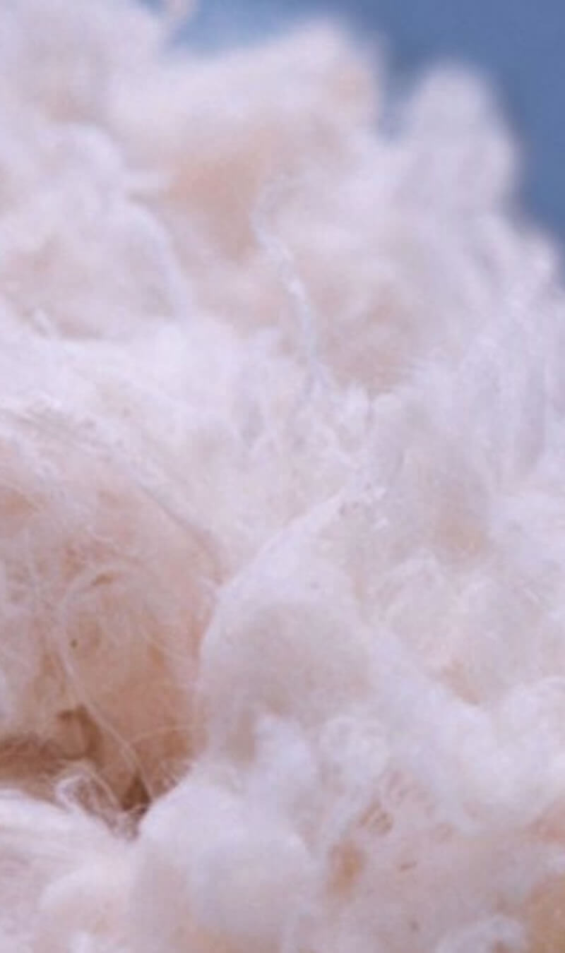 cashmere